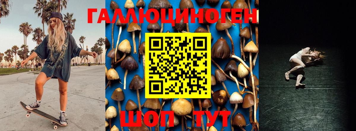 Сибай  где купить наркоту  Вход с VPN  Галлюциногенные грибы GOLDEN TEACHER 