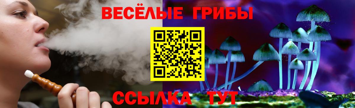Галлюциногенные грибы прущие грибы Сибай